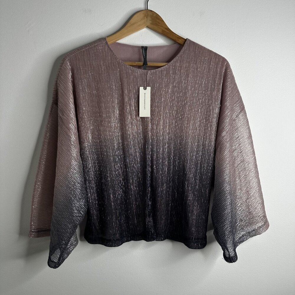 Anthropologie Blouse Top XS Pink Purple Black Ombre Metallic Sheer Pleated Bohoā